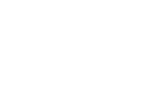 Demetrio_Logo